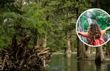 Río Sabinas en Coahuila: El río nativo con los paisajes más impresionantes