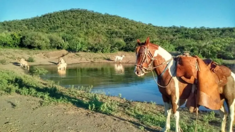 Foto: Turismo La Paz