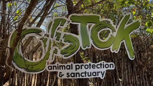 Santuario Ostok cierra sus puertas por la violencia en Culiacán; así trasladaron a 700 animales