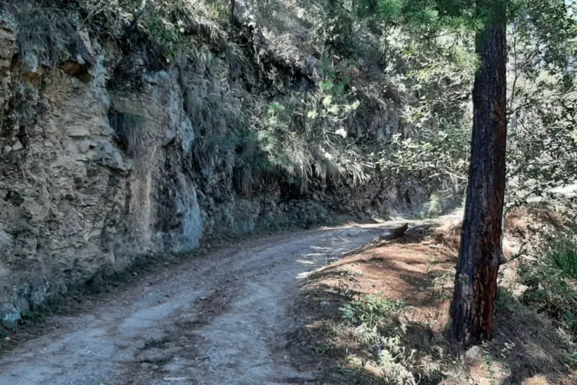 Sendero a través del parque ecológico Los Troncones. Foto: Daniel Espinoza