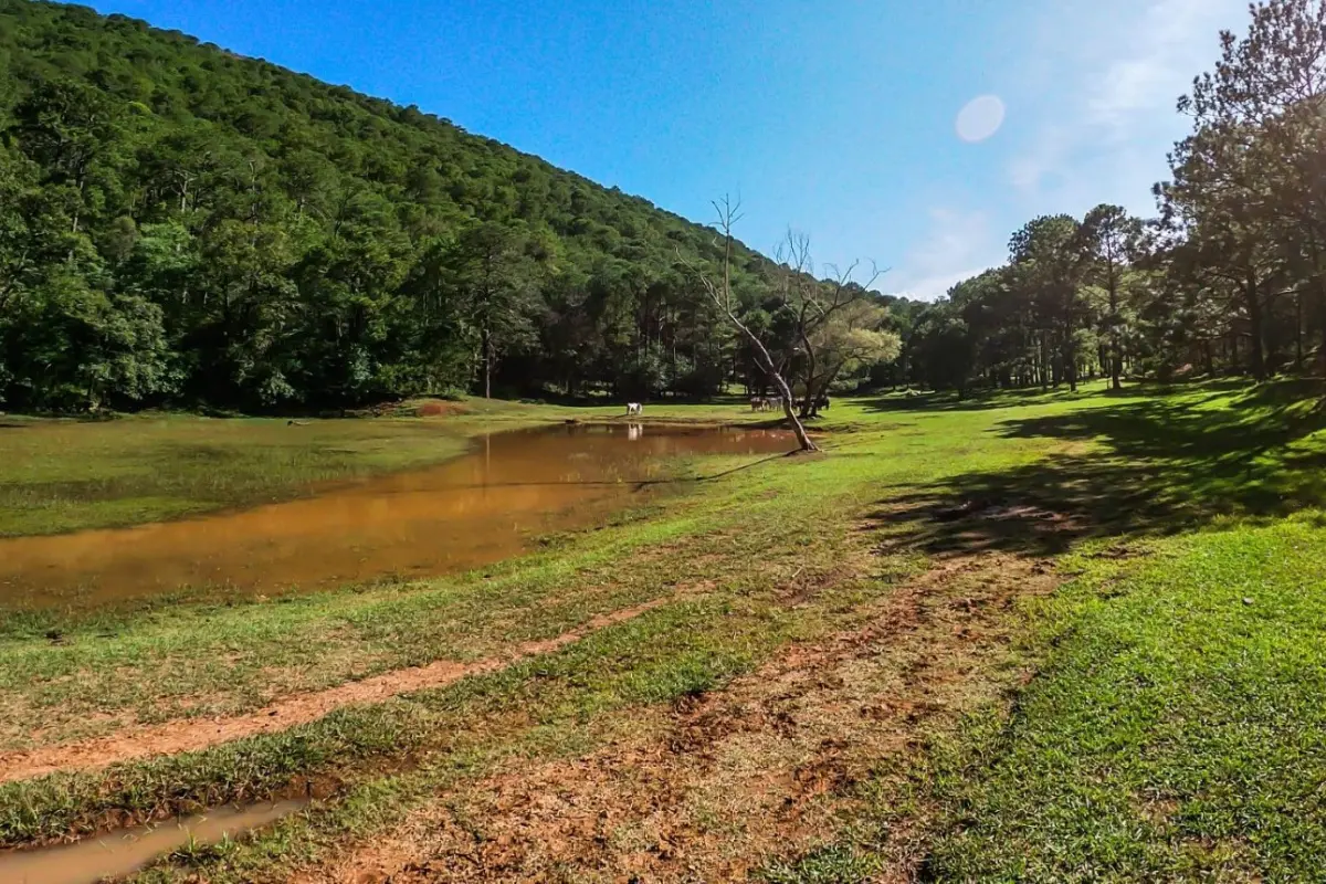 El sendero Losa Troncones- El Molino es uno de los favoritos de los amantes de la naturaleza en Tamaulipas. Foto: Daniel Espinoza