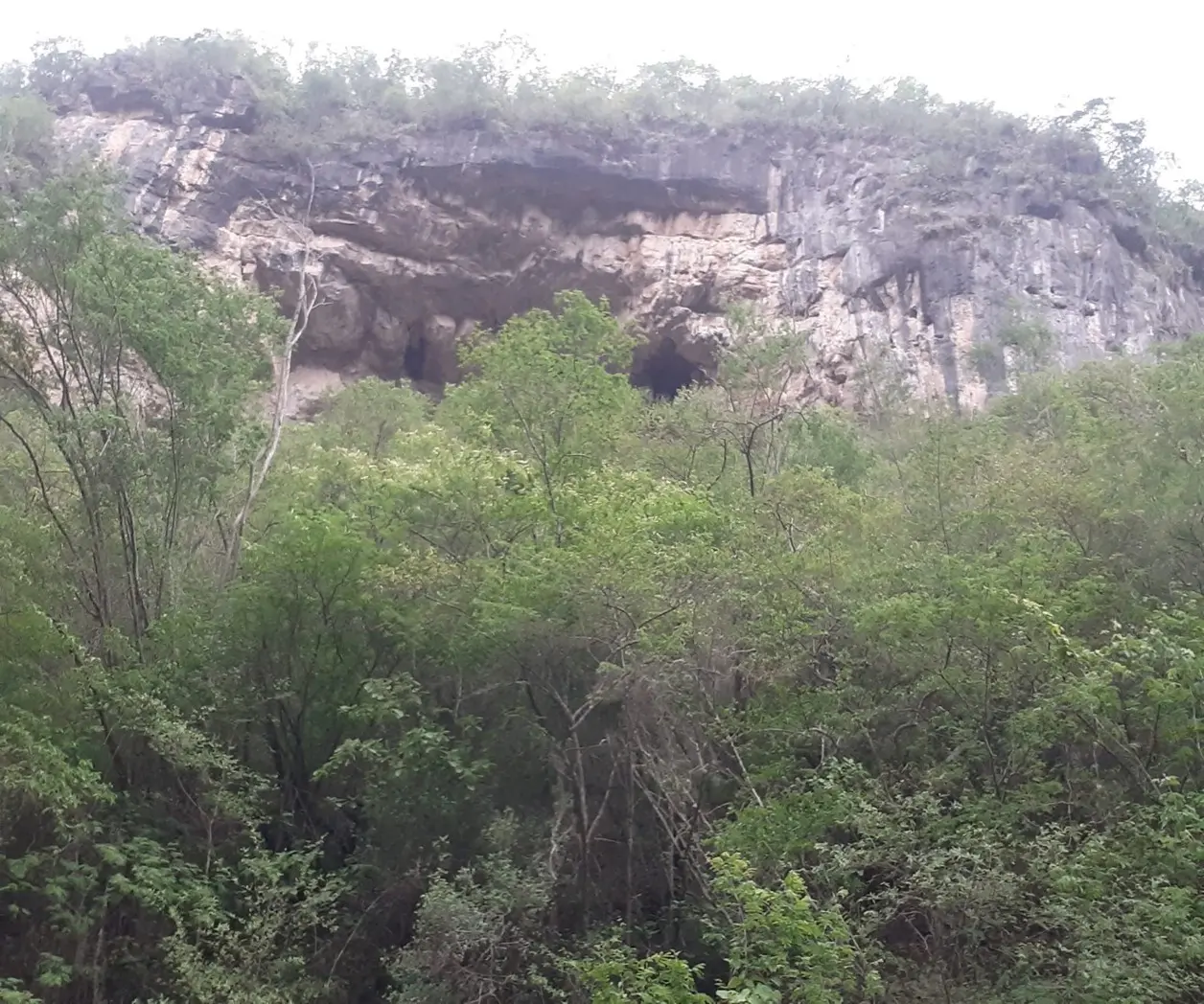 La práctica del senderismo cada vez gana más adeptos en el estado de Tamaulipas, siendo la capital del estado uno de los municipios en donde existen más amantes de esta noble y benéfica actividad. Foto: INAH