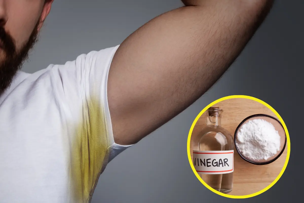 El vinagre es un poderoso agente de limpieza, se recomienda utilizar el vinagre de limpieza que tiene mayor concentración de ácido acético. Foto: Canva
