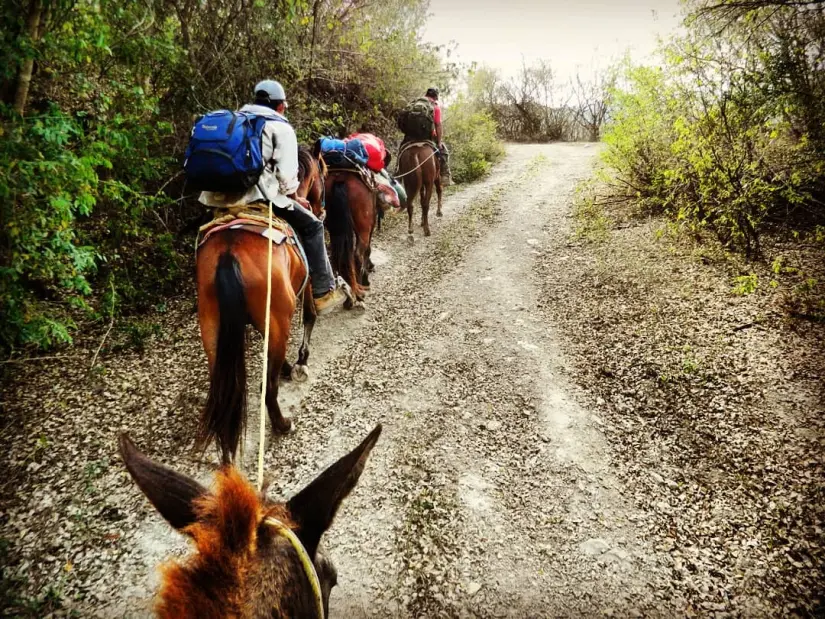 Foto: Facebook Turismo Ocampo Tamaulipas