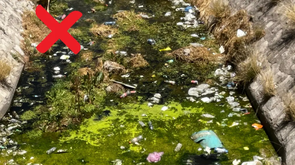 Sucio y desagradable, así luce el canal que atraviesa la colonia Mayagoitia