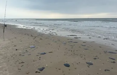 Cierran playa en Tamaulipas por presencia de hidrocarburo; investigan su origen en Tabasco 