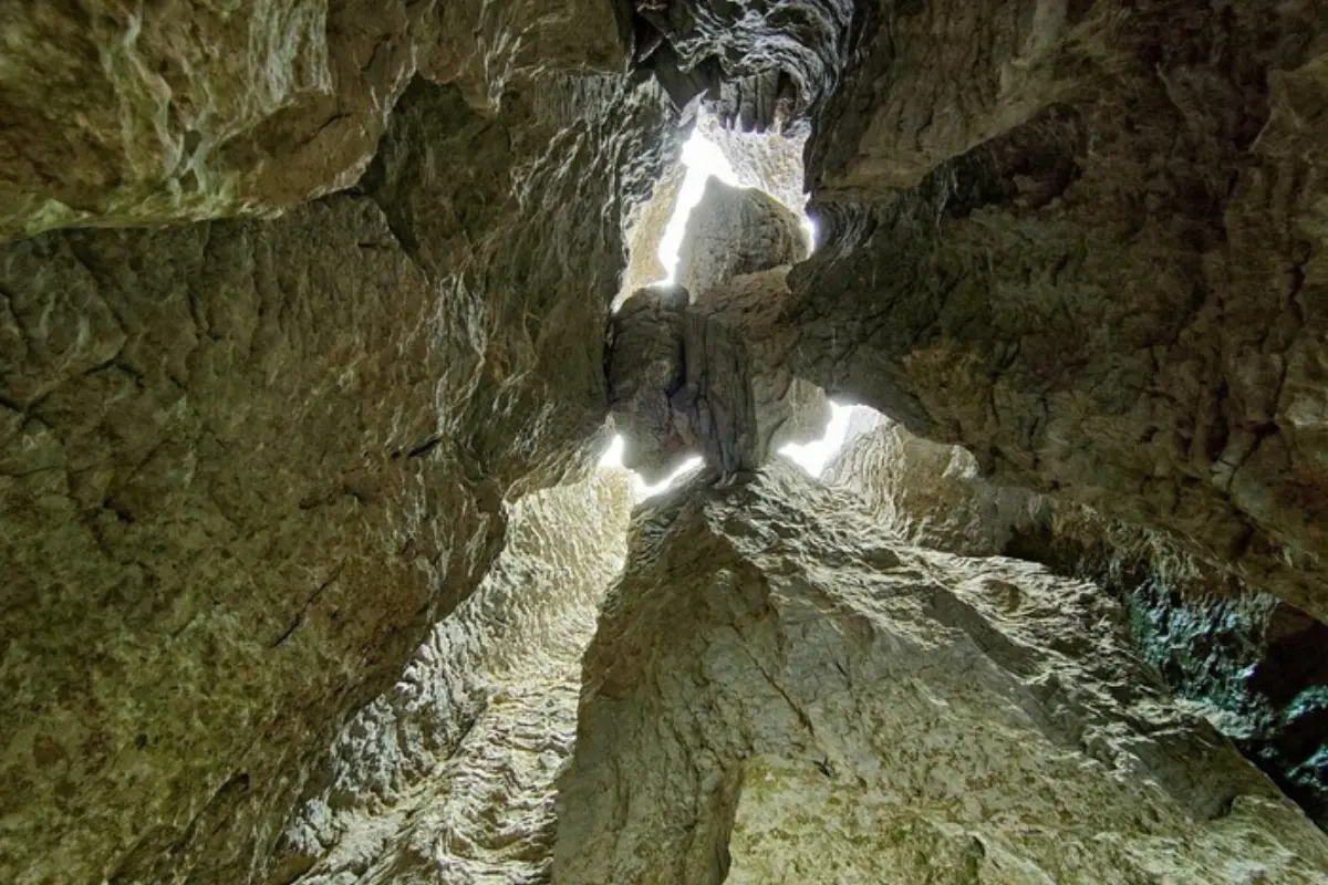 Aproximadamente a dos horas de Ciudad Victoria, esta cueva es un destino ideal para quienes buscan aventura y conexión con la historia ancestral de la región. Foto: INAH
