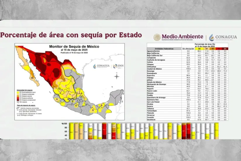 imagen recuadro