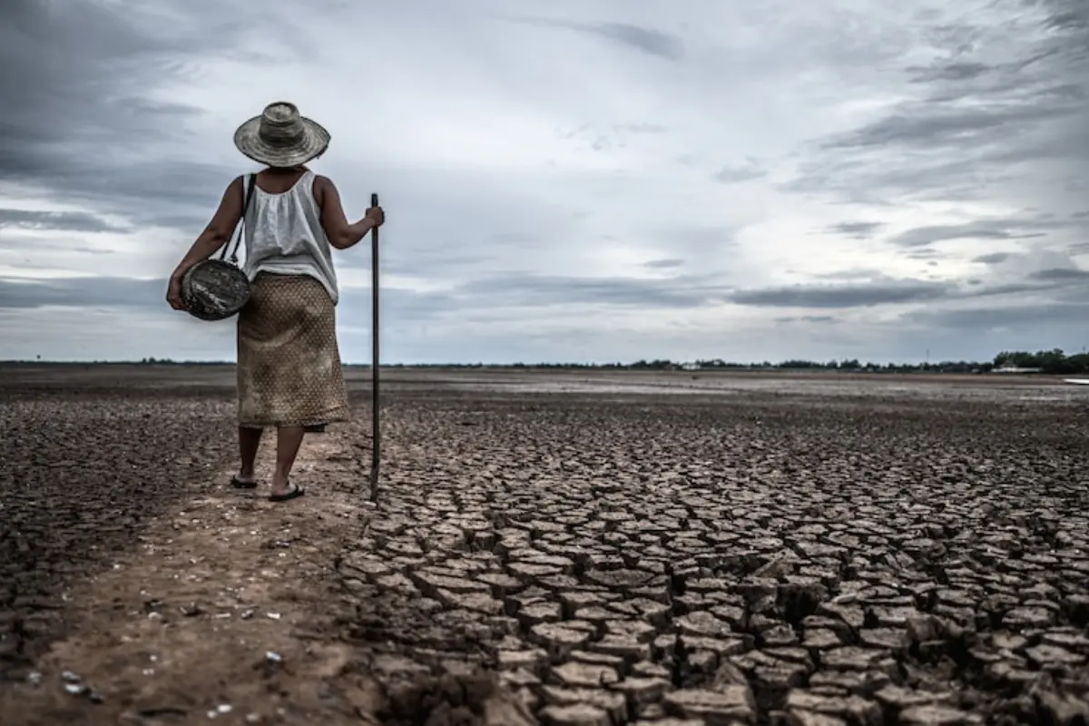 Es importante destacar que el fenómeno de sequía en Tamaulipas se debe a la escasez de lluvias acumulada en los últimos años. Foto: Freepik