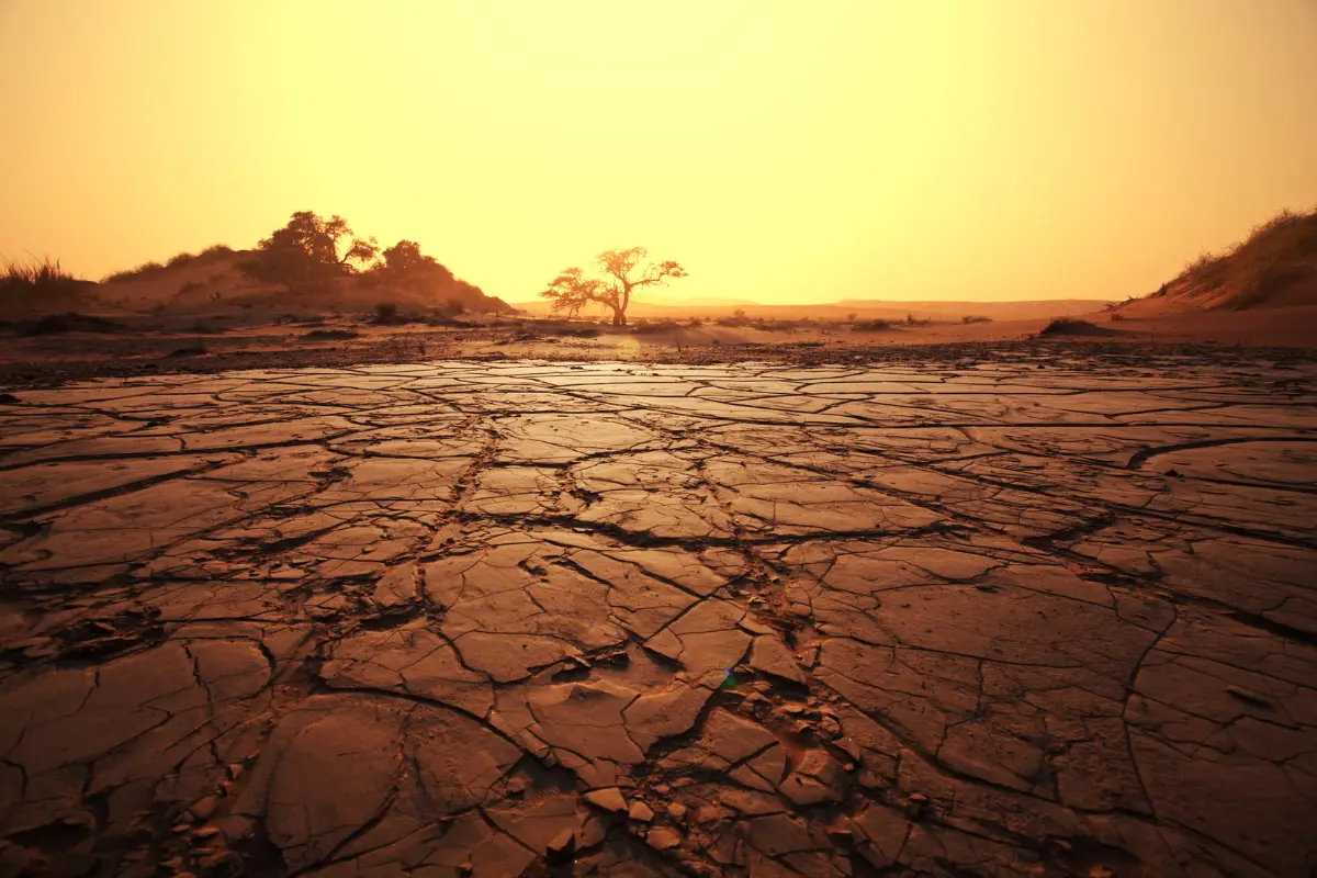La Comisión Nacional del Agua ha indicado que en 2025 se registrará mayor actividad ciclónica que en 2024. Foto: Pinterest
