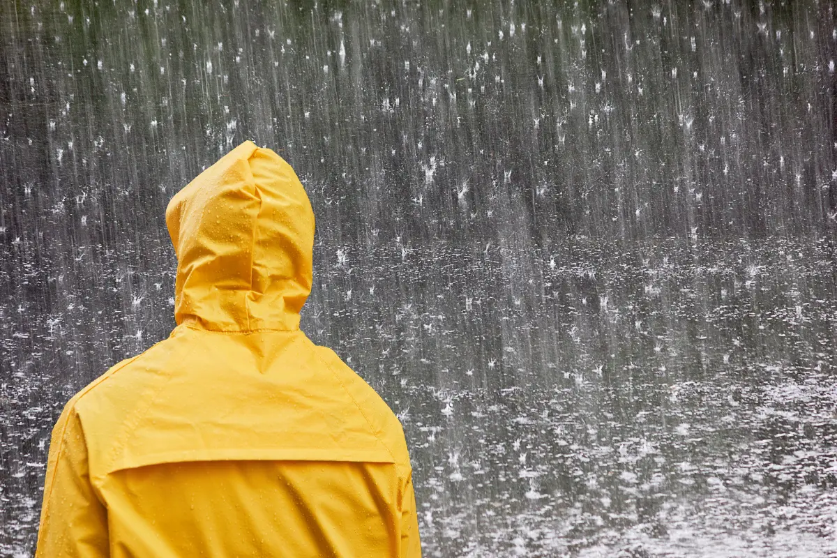 En caso de emergencia, el número de contacto es el 911./Foto: Canva