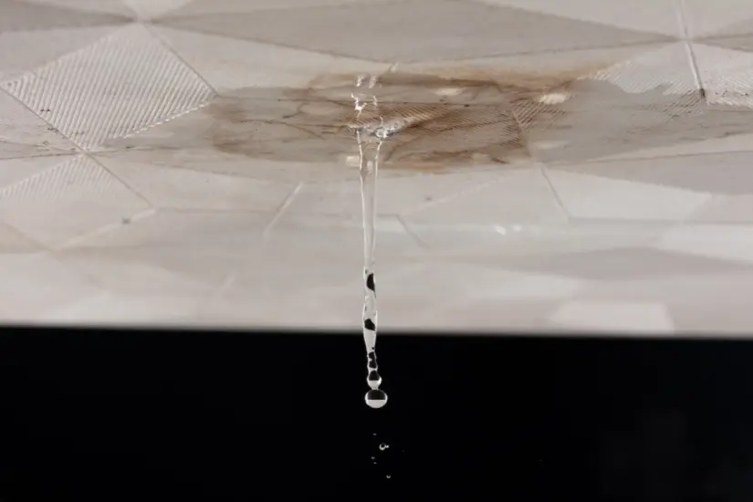 Las lluvias ponen de manifiesto la necesidad de cuidar el techo y prevenir filtraciones que pueden dañar lo que tenemos. Foto: Canva