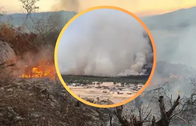 VIDEO | Impresionante incendio forestal en Tepehuanes este 20 de mayo; luchan decenas para controlarlo