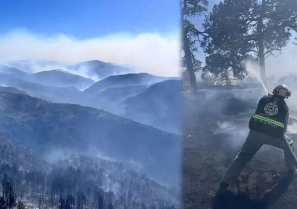 Incendios forestales: más de 100 brigadistas combaten incendio en Tepehuanes