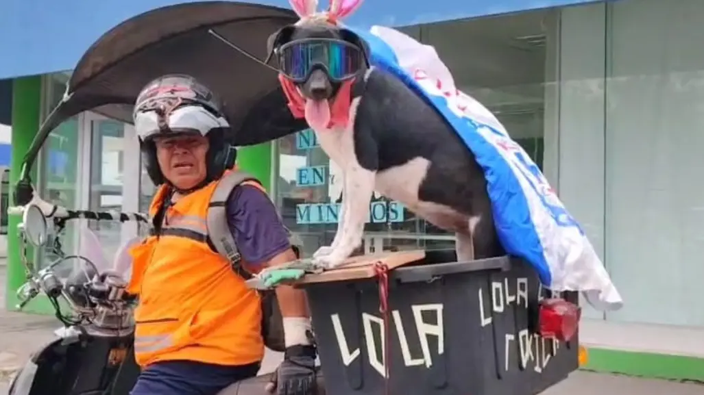 Ella es la Tóxica y le encanta recorrer en moto las calles de Victoria con su dueño