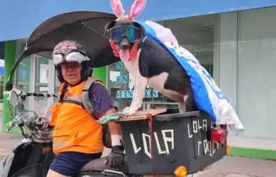 Ella es la Tóxica y le encanta recorrer en moto las calles de Victoria con su dueño