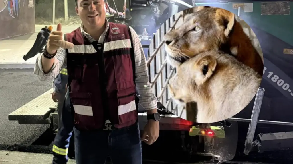 Manuel Guerra Cavazos se recupera tras incidente con león en García