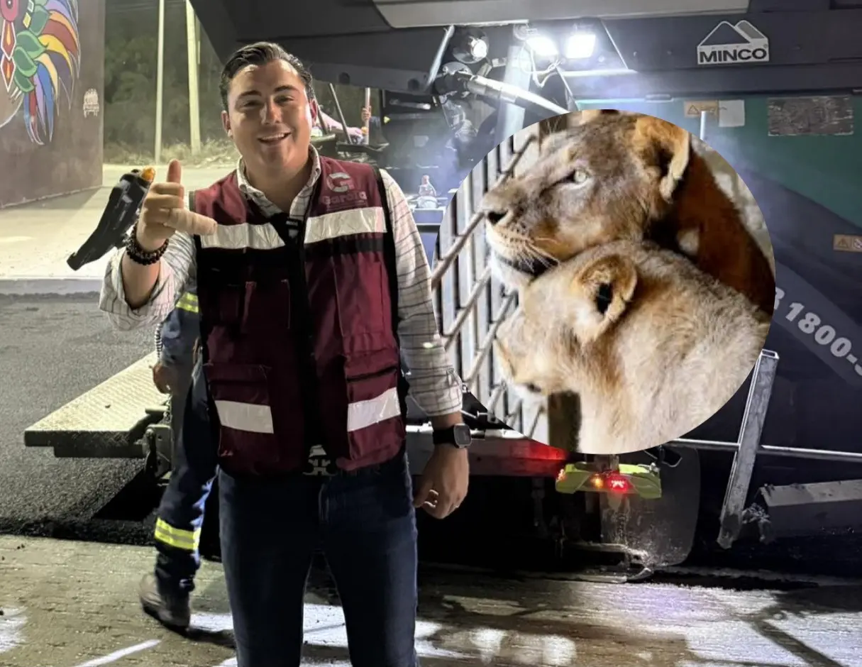 Manuel Guerra Cavazos, alcalde de García estuvo presente en las labores de pavimentación tras su incidente con uno de los leones rescatados. Foto: Manuel Guerra Cavazos/Canva.