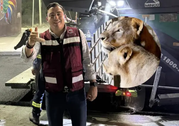 Manuel Guerra Cavazos se recupera tras incidente con león en García
