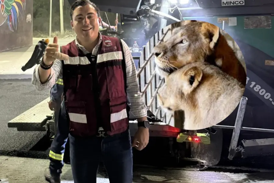 Manuel Guerra Cavazos se recupera tras incidente con león en García