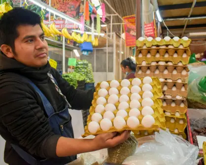Calor y ausencia de lluvias en Tehuacán reduce la producción de huevo