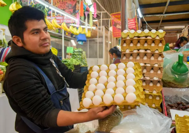 Calor y ausencia de lluvias en Tehuacán reduce la producción de huevo