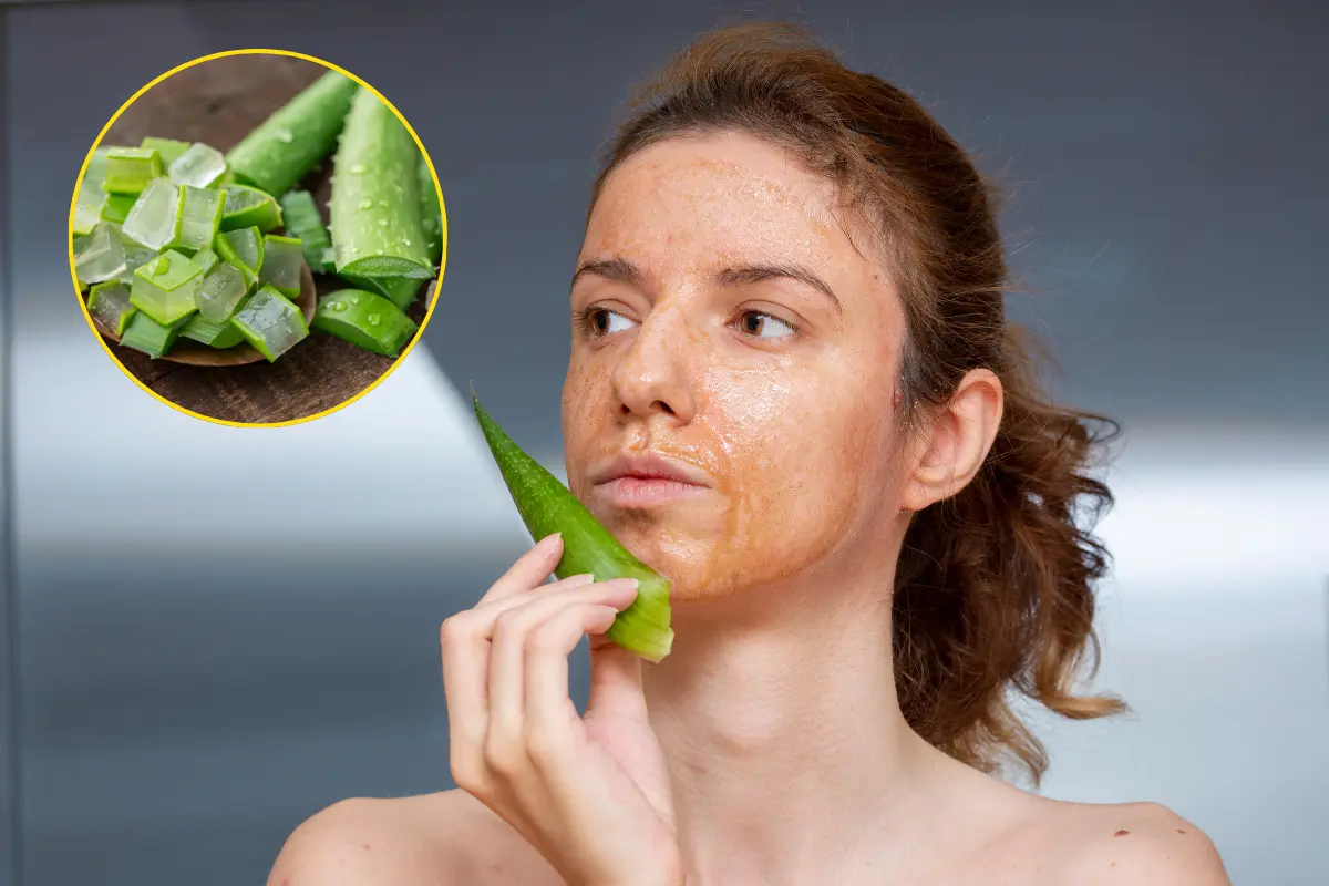 El aloe vera no solo cuida la piel, también tiene múltiples beneficios capilares. /Foto: Canva