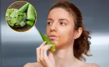 Plantas nativas en Coahuila, la sábila ¿cuáles son sus beneficios para tu piel y cabello?