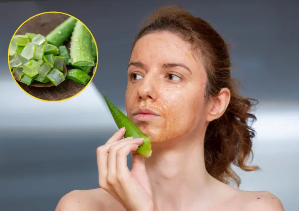 Plantas nativas en Coahuila, la sábila ¿cuáles son sus beneficios para tu piel y cabello?