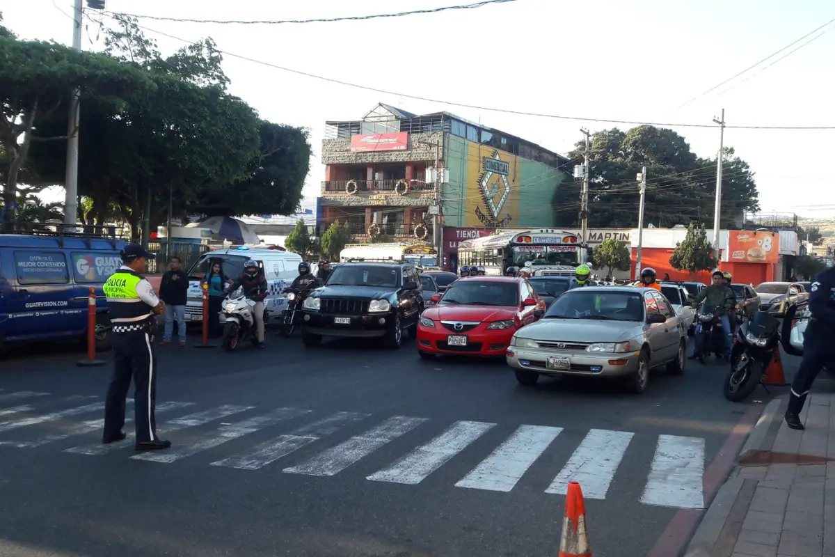 Conductores de autos esperando atrás del paso de cebra. Foto: X (@SantosDalia)