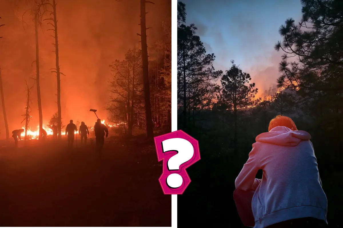 El bosque de Durango se ha visto afectada por incendios forestales. Foto: Especial / Tepehuanes Durango.