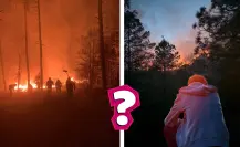Bosque de Durango, ¿Cuánta superficie se ha afectado por incendios forestales?
