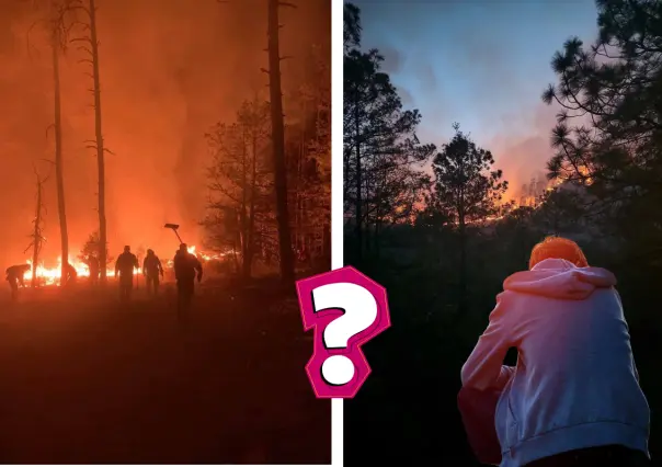 Bosque de Durango, ¿Cuánta superficie se ha afectado por incendios forestales?