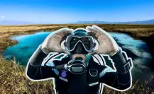 El animal nativo de Coahuila que vive en las aguas de este Pueblo Mágico