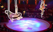 Feria de Saltillo 2025, Circo Roncaly, una experiencia que te dejará helado