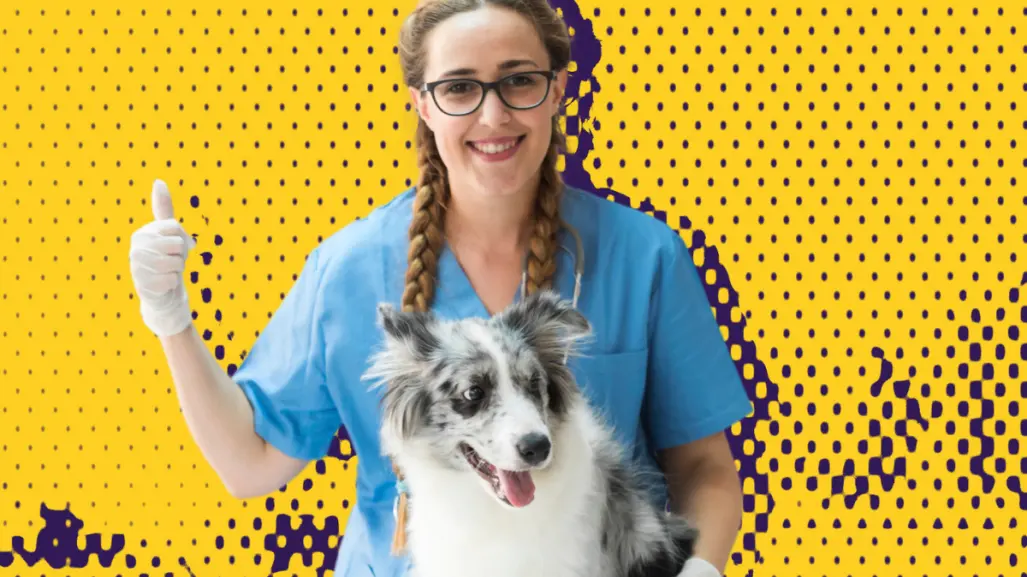 Descubre la nueva unidad móvil canina en Santa Catarina; aquí te contamos los detalles