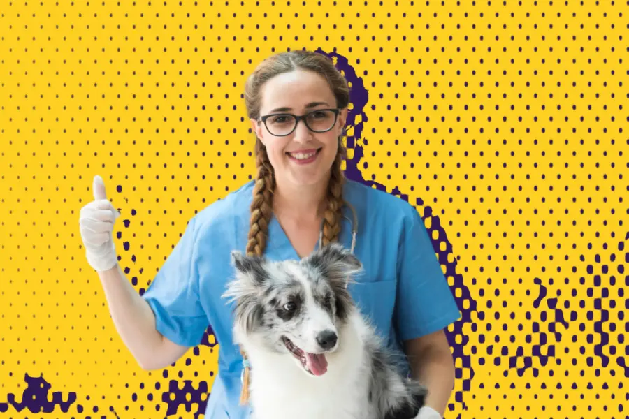 Descubre la nueva unidad móvil canina en Santa Catarina; aquí te contamos los detalles