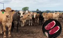 Precio de la carne no bajará pese al cierre de frontera con EU, advierten ganaderos