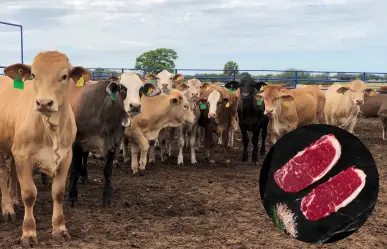 Precio de la carne no bajará pese al cierre de frontera con EU, advierten ganaderos