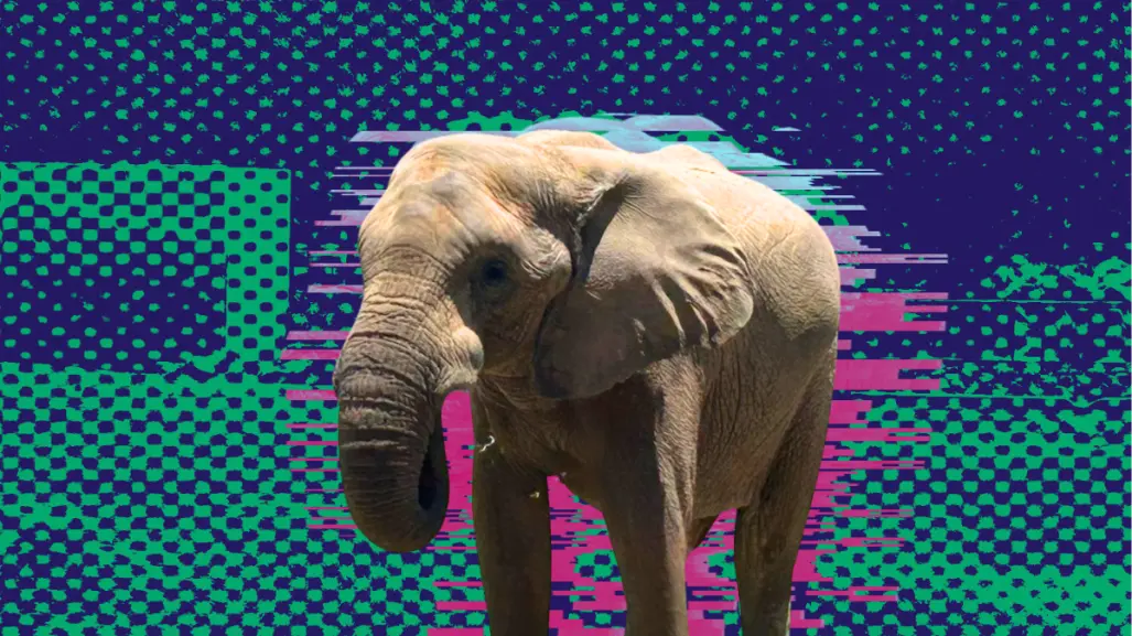 Invitan a celebrar junto a Monty el elefante su cumpleaños 19 en La Pastora; ¿cuándo es el festejo?