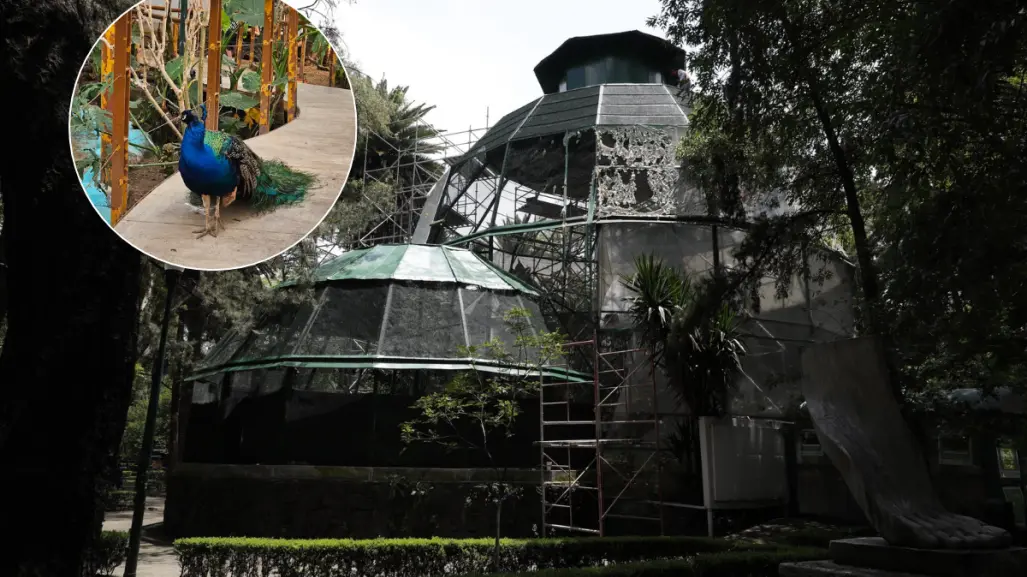Este es el lugar barato de CDMX que tal vez no conocías a tan solo 8 pesitos