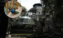 Este es el lugar barato de CDMX que tal vez no conocías a tan solo 8 pesitos