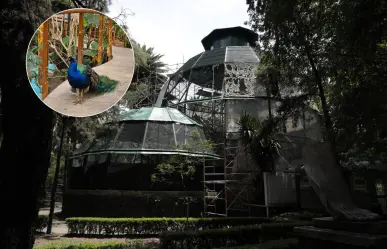 Este es el lugar barato de CDMX que tal vez no conocías a tan solo 8 pesitos