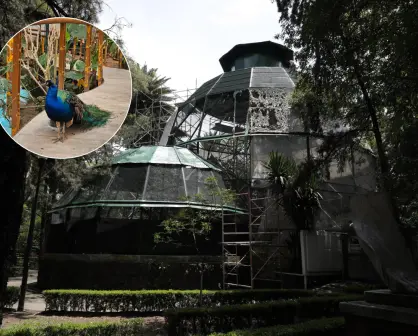 Este es el lugar barato de CDMX que tal vez no conocías a tan solo 8 pesitos