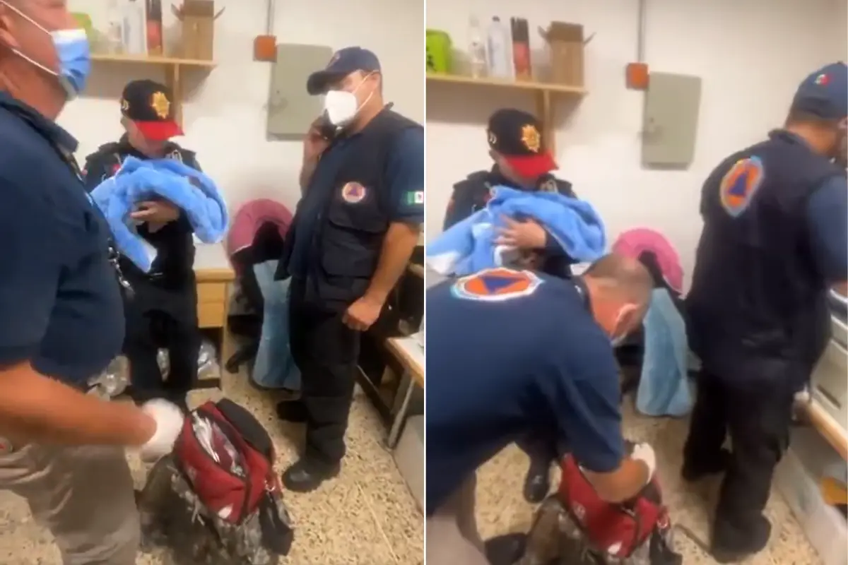 Personal de la SSC resguardando a bebé recién nacido en un supermercado de la alcaldía Álvaro Obregón en CDMX. Foto: X (@SSC_CDMX)
