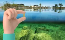 ¿Cuál es el río de Coahuila más pequeño y dónde lo puedes encontrar?