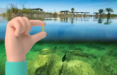 ¿Cuál es el río de Coahuila más pequeño y dónde lo puedes encontrar?