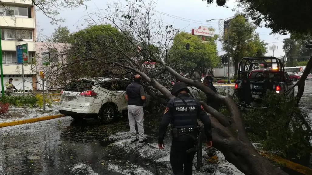 Temporada de lluvias en CDMX: así puedes reportar apagones y árboles derribados
