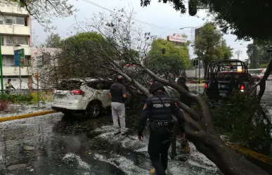 Temporada de lluvias en CDMX: así puedes reportar apagones y árboles derribados