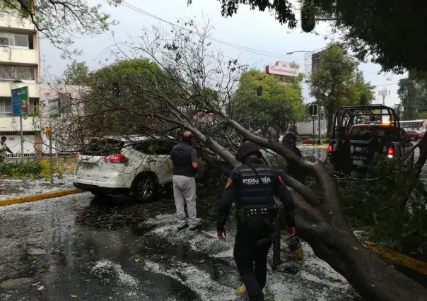 Temporada de lluvias en CDMX: así puedes reportar apagones y árboles derribados